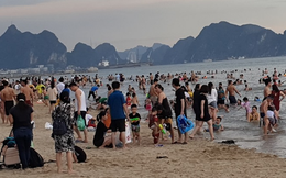 Xác minh vụ du khách bị đánh "hội đồng" tại Bãi Cháy