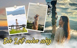 Săn mây mùa mưa Đà Lạt đẹp đến bất ngờ