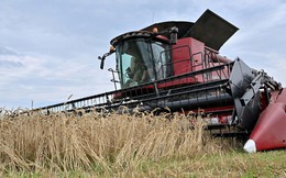 Moscow liệt kê 7 điều kiện để nối lại thỏa thuận ngũ cốc