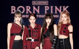 Diễn biến mới về chương trình biểu diễn của nhóm nhạc Blackpink tại Hà Nội