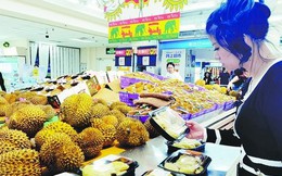 Thời cơ của sầu riêng Việt Nam đã đến: Doanh nghiệp Trung Quốc 'tranh cướp' mua trái cây Đông Nam Á