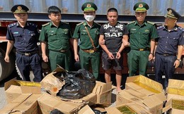 Bắt giữ vụ vận chuyển số lượng lớn pháo và gỗ trắc từ Lào về Việt Nam