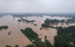 Lũ lụt ở Trung Quốc có thể gây áp lực lên giá lương thực toàn cầu