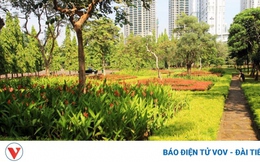 Thủ đô Jakarta xây dựng 23 công viên mới để cải thiện chất lượng không khí