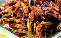 Ăn cào cào, một người phụ nữ bị sốc phản vệ, tử vong