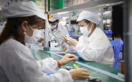 Việt Nam có thể có thêm khoảng 629 triệu USD vào năm 2024 nếu áp loại thuế mới