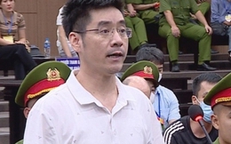 Vụ chuyến bay giải cứu: Cựu điều tra viên Hoàng Văn Hưng kháng cáo kêu oan