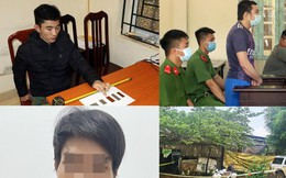 Rúng động những vụ cha dượng, mẹ kế bạo hành con riêng dẫn đến tử vong