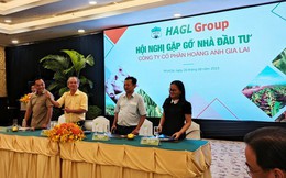 Bầu Đức khoe vườn sầu riêng 1.200 ha siêu lợi nhuận