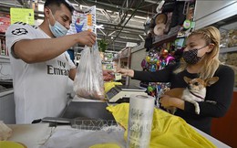 Mexico thay Trung Quốc làm đối tác thương mại hàng đầu của Mỹ