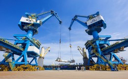 Được đầu tư hơn 3.700 tỷ đồng, Cảng tổng hợp Container Hòa Phát Dung Quất hiện ra sao?