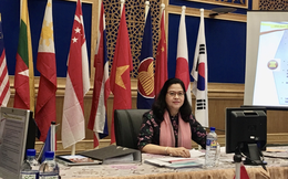 Việt Nam cử đại diện ứng cử vị trí giám đốc khu vực của WHO