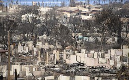 Ước tính thiệt hại từ thảm họa cháy rừng ở Hawaii lên tới 6 tỷ USD
