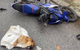 Bắc Ninh: Hai thanh niên nghi trộm chó bị xe tải đi ngược chiều tông trúng