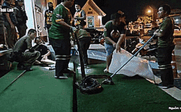 CLIP: Một người đang ngủ bất ngờ bị trăn quấn