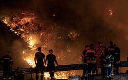 Cuộc chiến đuối sức cứu 'lá phổi của Hy Lạp' khi cháy rừng bao trùm đất nước