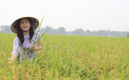 Giá xuất khẩu một mặt hàng của Việt Nam đang cao nhất thế giới, 7 tháng đã thu về 2,6 tỷ USD