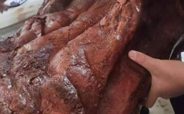 Nhặt được 'khúc gỗ' nhăn nheo màu đỏ, người đàn ông vớ bẫm khi đem đi thẩm định