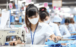 9 ngành nghề thu hẹp quy mô, cắt giảm lao động nhiều nhất tại Việt Nam