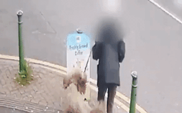Cụ bà gặp tai nạn bất ngờ khi dắt chó cưng đi dạo khiến cảnh sát lập tức vào cuộc điều tra