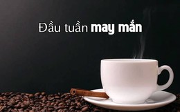 Tử vi 12 cung hoàng đạo ngày 11/9: Sư Tử gặp vận may tài lộc