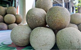 Về miền Tây nhớ tìm thử loại quả bổ ra đen sì, nhưng làm món nào cũng mê