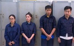 Triệt phá đường dây buôn lậu có nhân viên hải quan 'bảo kê'