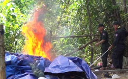 Gần 50 cảnh sát truy quét 'vàng tặc' ở Bồng Miêu