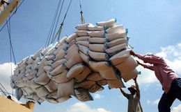 Vượt Trung Quốc, một quốc gia Đông Nam Á trở thành nước nhập khẩu gạo lớn nhất thế giới, là khách 'ruột' số 1 của Việt Nam giúp thu về hơn 1 tỷ USD