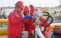 Thị trường dầu mỏ dần rẽ hướng sang Đông Nam Á: Kỷ nguyên Trung Quốc là "rốn dầu" của thế giới sắp đi đến hồi kết?