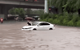 Danh tính cô gái leo lên nóc capo, ung dung ngồi giữa "biển nước" ở Hà Nội sáng nay
