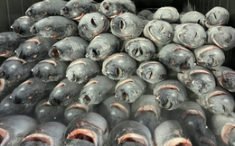 Một mặt hàng giá rẻ của Việt Nam đang đổ bộ vào Hàn Quốc: Được người dân cực kỳ ưa chuộng, xuất khẩu tăng mạnh trong 7 tháng đầu năm
