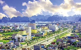 5 thành phố trực thuộc tỉnh có diện tích lớn nhất Việt Nam