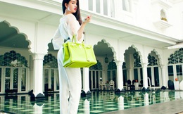 Ngọc Trinh và trọn bộ túi xách trăm triệu