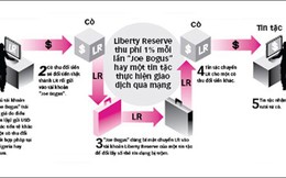 Hé lộ "chân rết" rửa tiền Liberty Reserve ở Việt Nam