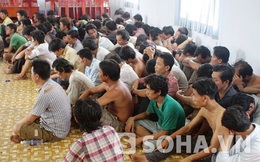 TP.HCM: Đột kích trường gà, bắt 124 đối tượng
