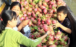 Giá trái cây tăng kỷ lục