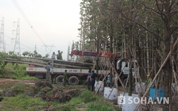 Vụ mất điện toàn miền Nam: Xác định được 3 đối tượng liên quan
