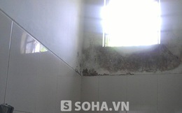 Cán bộ đài truyền hình đặt camera trong nhà vệ sinh nữ