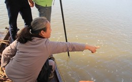 Vụ Cát Tường: Người đề bạt TS Bằng tìm kiếm lên tiếng