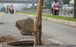 Những cái 'bẫy chết người' trên đại lộ đẹp nhất Sài Gòn