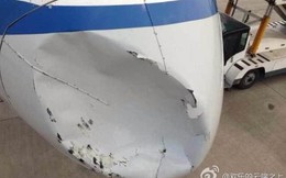 Máy bay Trung Quốc móp đầu, suýt rơi vì đâm phải chim