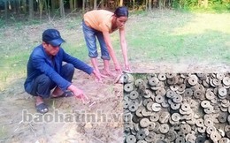 Phát hiện lượng lớn tiền cổ trong vườn một nhà dân