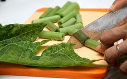 Cần xem lại bài thuốc chữa ung thư của nhà thơ Trần Đăng Khoa