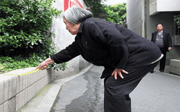Bà cụ 80 tuổi đập 1.000 con ruồi mỗi ngày