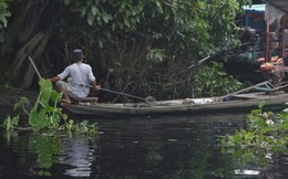 Thợ săn thành phố