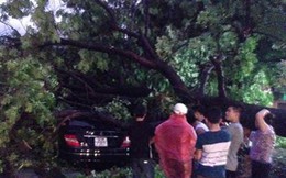 Người chết bởi... "cây hàng mã": Không ai ngờ tới?