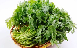 2 bài thuốc chữa đau đầu kinh niên cực hay từ cải cúc