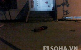 Nam sinh ĐH Kinh tế giết người yêu đúng ngày Valentine
