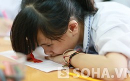 BÁN ĐẤU GIÁ BỨC TRANH EM YÊU TRƯỜNG SA CỦA CÔ BÉ KHIẾM THỊ 9 TUỔI